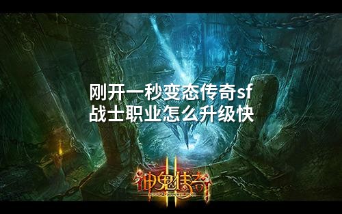刚开一秒变态传奇sf战士职业怎么升级快