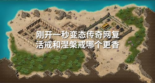 刚开一秒变态传奇网复活戒和涅槃戒哪个更香