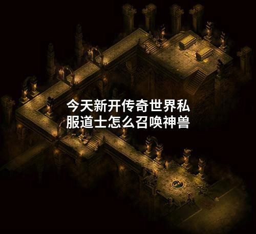 今天新开传奇世界私服道士怎么召唤神兽
