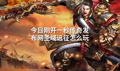 今日刚开一秒传奇发布网圣域远征怎么玩