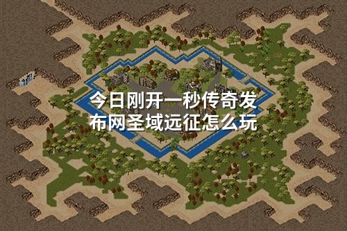 今日刚开一秒传奇发布网圣域远征怎么玩