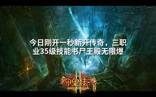 今日刚开一秒新开传奇,三职业35级技能书尸王殿无限爆