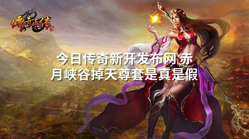 今日传奇新开发布网 赤月峡谷掉天尊套是真是假
