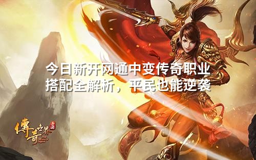 今日新开网通中变传奇职业搭配全解析,平民也能逆袭