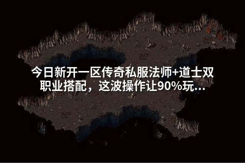 今日新开一区传奇私服法师+道士双职业搭配，这波操作让90%玩家都羡慕