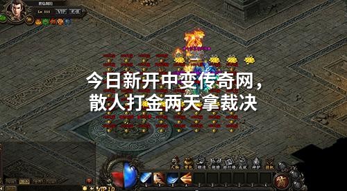今日新开中变传奇网,散人打金两天拿裁决