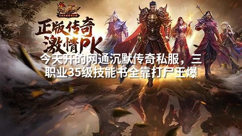 今天开的网通沉默传奇私服，三职业35级技能书全靠打尸王爆