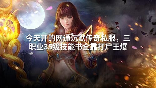 今天开的网通沉默传奇私服,三职业35级技能书全靠打尸王爆