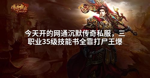 今天开的网通沉默传奇私服,三职业35级技能书全靠打尸王爆