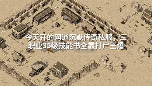 今天开的网通沉默传奇私服,三职业35级技能书全靠打尸王爆