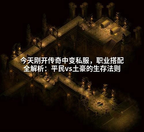 今天刚开传奇中变私服,职业搭配全解析:平民vs土豪的生存法则