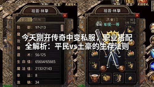 今天刚开传奇中变私服,职业搭配全解析:平民vs土豪的生存法则