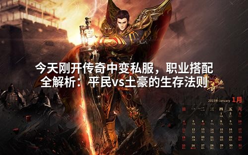 今天刚开传奇中变私服,职业搭配全解析:平民vs土豪的生存法则