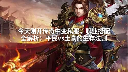 今天刚开传奇中变私服,职业搭配全解析:平民vs土豪的生存法则