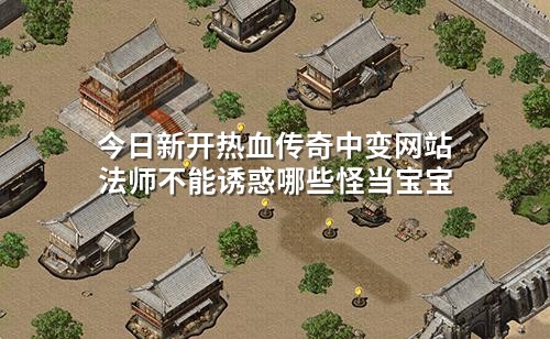 今日新开热血传奇中变网站法师不能诱惑哪些怪当宝宝