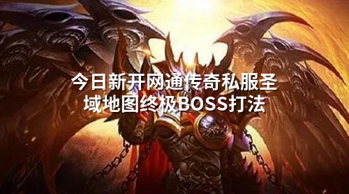 今日新开网通传奇私服圣域地图终极BOSS打法