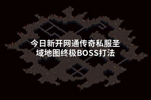 今日新开网通传奇私服圣域地图终极BOSS打法