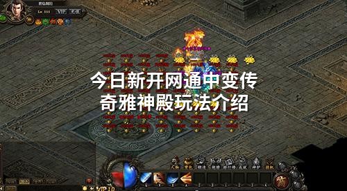 今日新开网通中变传奇雅神殿玩法介绍