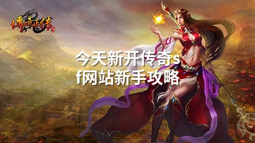 今天新开传奇sf网站新手攻略