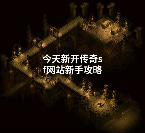 今天新开传奇sf网站新手攻略
