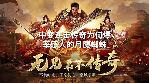 中变连击传奇为何爆率感人的月魔蜘蛛