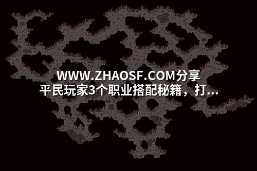 WWW.ZHAOSF.COM分享平民玩家3个职业搭配秘籍,打宝效率飙升