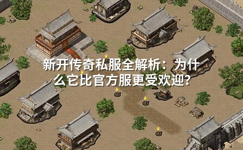 新开传奇私服全解析:为什么它比官方服更受欢迎?
