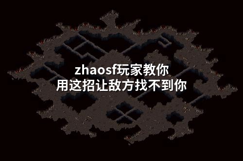 zhaosf玩家教你用这招让敌方找不到你
