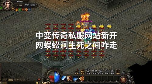 中变传奇私服网站新开网蜈蚣洞生死之间咋走