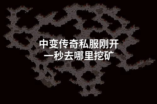 中变传奇私服刚开一秒去哪里挖矿