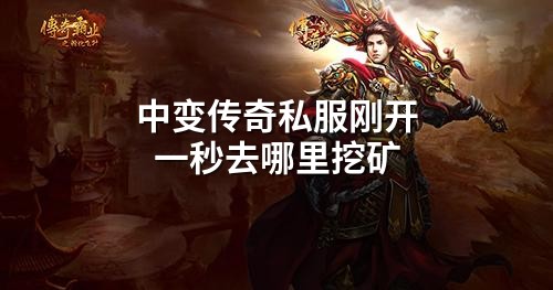 中变传奇私服刚开一秒去哪里挖矿